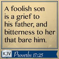 King James Bible Verses - Proverbs 17:25 - A foolish son is a grief to his  father, and bitterness to her that bare him. | Facebook