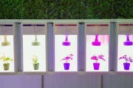 64,99 € 64,99 € 20% coupon wird an der kasse zugeordnet sparen sie 20% mit rabattgutschein. Ratgeber Archive Pro Emit