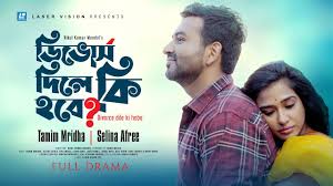 ডিভোর্স দিলে কী হবে | Divorce Dile ki Hobe | Tamim Mridha | Selina Afree |  New Natok 2023