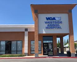 It is our commitment to provide quality veterinary care throughout the life of your pet. Our Hospital Vca Westside Animal Hospital