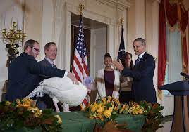 We did not find results for: Why Presidents Pardon Turkeys A History Pbs Newshour