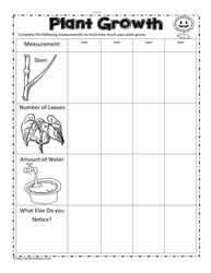 Parts Of A Plant Worksheets