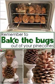 Bake The Bugs Out Of Your Pinecones! - House Of Hepworths