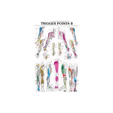 Trigger Point Charts 1 2 Massageboutik Com