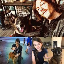 Meet Tom Roach from Worldwide...