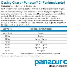 Panacur c canine dewormer (1 gram) and other products can be found at entirelypets rx, the #1 source for fulfilling all of your pet needs. Amazon Com Panacur C Canine Dewormer Fenbendazole 1 Gram Panacur For Dogs Pet Supplies