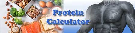 Fat (nine calories per gram): Protein Requirements Calculator Based On Activity Level Globalrph