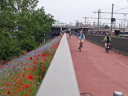 Je vindt er tien kleurrijke fietsen van de provincie antwerpen. Chris Brouwers ×'×˜×•×•×™×˜×¨ Nog Mensen Enroute Naar Fietscongres18 Via F1 Fietsostrade Antwerpen Mechelen Prov Antwerpen Fietspooling Poppy Korenbloemen Https T Co Lmg54bln6w