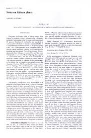 Image result for Aeollanthus rehmannii