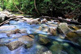 Serem❓jangan nonton kalau ga kuat ‼️film s4d1snya suku pedalaman hutan amazon. 30 Tempat Menarik Di Kuala Besut Untuk Pelancongan Dan Penginapan Ammboi