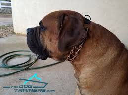 order herm sprenger dog prong collar mastiff collars