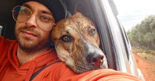 Pietro Amore (@pietro_amore) • Instagram photos and videos