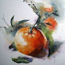 Solo Mandarine Peinture Aquarelle Comment Peindre Fruits Aquarelle