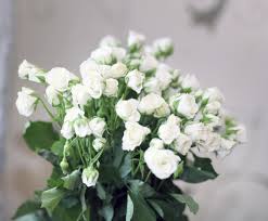 Check spelling or type a new query. Hereford Times Death Notices Published January 28 Hereford Times