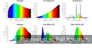 Spectrum Of Fluorescent Light Areloan Info