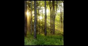 Barbara Mickles Obituary (2023)