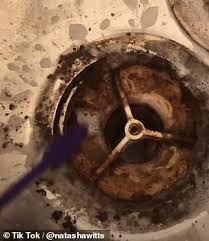 Everybody can vote towards or against anything submitted. Tiktok User Reveals The Grim Gunk That Could Be Lurking In Your Kitchen Sink Daily Mail Online