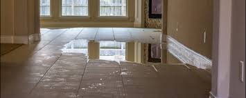 Water damage that is left unattended can lead to costly and dangerous structural damage and to harmful mold and mildew growth. Signs Of Hidden Water Damage