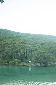 Hat Head Holiday Park 4x4 Destinations