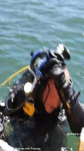 16-Year-Old Kiely Rodni Found in Honda CRV