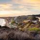 Explore the Cove Coastal Ecology Hike event image