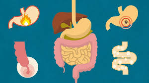 icky but interesting facts about poop