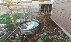 Employees at record buck farms. Record Buck Farms