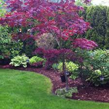 Backyard Backyard Landscaping Designs Backyard Landscaping Gorgeous Gardens