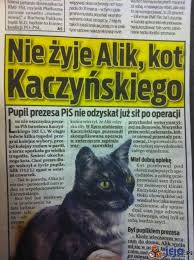 Browse 3,941 jaroslaw kaczynski stock photos and images available, or start a new search to explore. Gaweda Jak Nasze Psy I Koty Koty Pana Prezesa Jaroslawa Kaczynskiego
