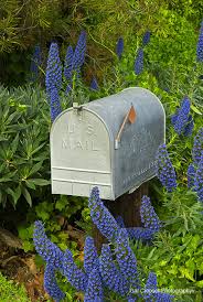See more ideas about rustic mailboxes rustic mailbox. Country Mailbox Photo Gar Cropser Photos At Pbase Com