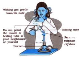 Activity 1.5Take About 2 G Ferrous Sulphate Crystaly In A Dry Bolling Tu..