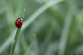 Является выходцем из рабочей среды: Narodnyj Prazdnik 1 Avgusta Obychai Primety Chto Nelzya Delat Unian