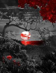 Black And White Photography With Red Color Splash Splash Of Color Color Splash Red Color Splash Photo Color Splash