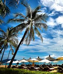 Vacation Doesn T Have To Spell The End Of Your Diet And Lifestyle Get Tips And Tricks To Help You Stay Lectin Free And In 2020 Vacation Spots Best Vacations Vacation