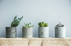 Blumentopf Aus Beton Selber Machen So Wird S Gemacht