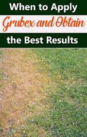 Food, accessories, vet and grooming services. When To Apply Grubex And Obtain The Best Results Pergola Pictures How To Apply Organic Lawn