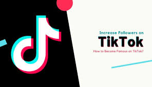 Here are my top ten tips to get tiktok famous in 24hrs. How To Become Famous On Tiktok Increase Followers On Tiktok