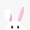 Bunny ears to replace the party hats!. 1