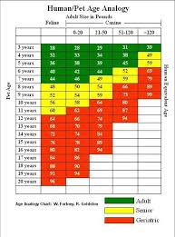 Dog Age Chart By Breed Goldenacresdogs Com