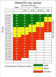 dog age chart by breed goldenacresdogs com