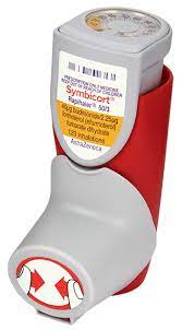 It is also indicated for patients requiring oral. Symbicort Rapihaler Nps Medicinewise