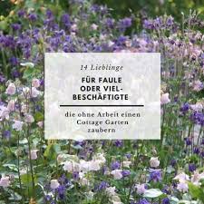 14 Lieblinge Die Einen Cottage Garten Zaubern Ohne Arbeit Cottage Garten Garten Bauerngarten