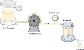 We did not find results for: Effect Of Membrane Pore Structure On Fouling Behavior Of Glycoconjugate Vaccines Sciencedirect