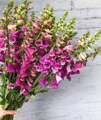 Your acre flower stock images are ready. Posts Tagged As Littleacredc Suggestions Statistics Wopita