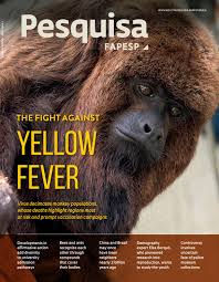 Nina venus indonusa i asub kohas sukabumi. The Fight Against Yellow Fever By Pesquisa Fapesp Issuu