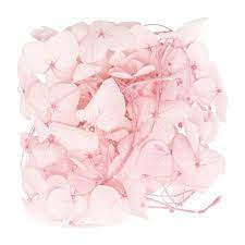Check spelling or type a new query. Blue Moon Studio Uv Resin Craft Pink Dried Hydrangea Flowers Michaels