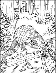 Pangolin Coloring Page Google Search Animal Coloring Books Animal Coloring Pages Pangolin Art