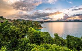 Di hutan montane bawah terdapat harimau dahan, kucing batu, ungka, binturong, musang, katak, burung dan serangga. 10 Resort Hutan Hujan Tropika Khazanah Negara Wajib Pergi