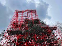 Bildergebnis für Hector Zamora