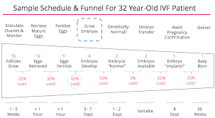 As a result, they stop growing and die. The Steps And Decisions In The Ivf Process Fertilityiq